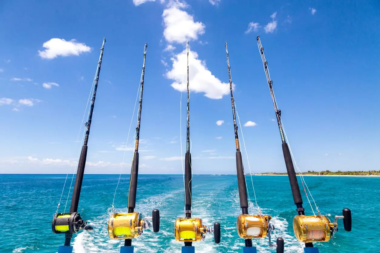 Row of fishing rods set on a boat.