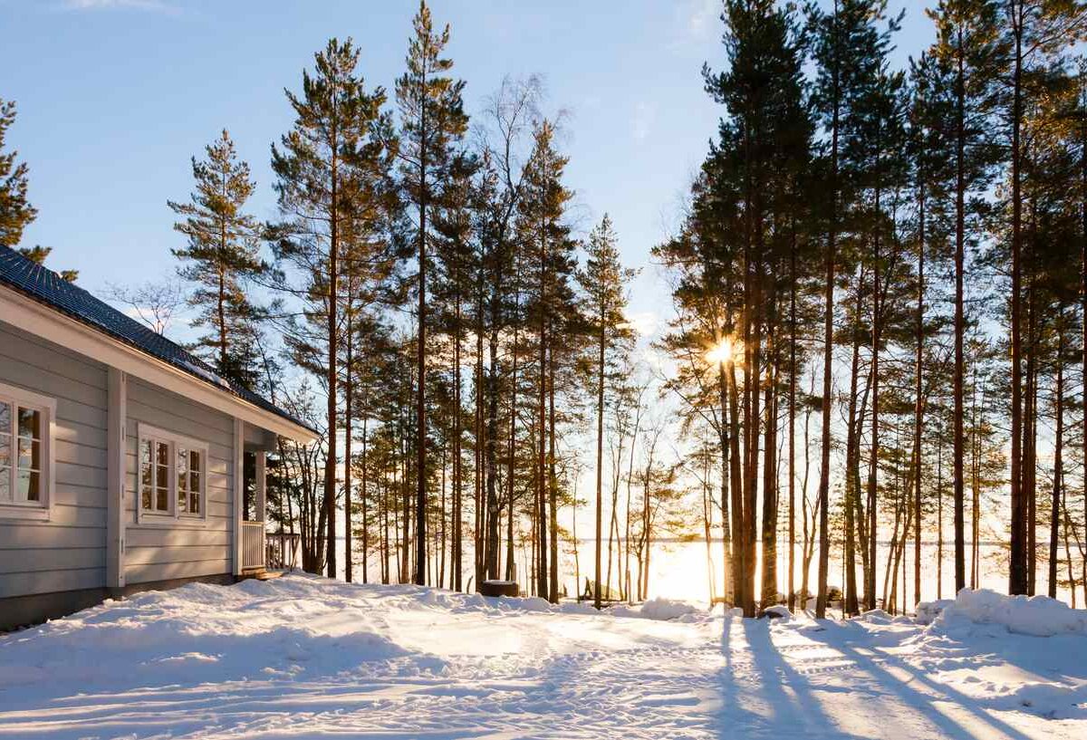 A cozy lake house surrounded by snow and tall trees during winter with sunlight peeking through the forest.