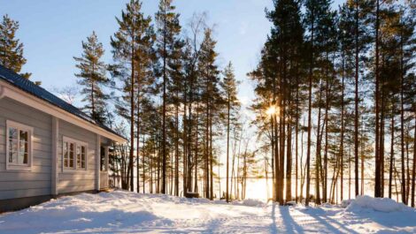 A cozy lake house surrounded by snow and tall trees during winter with sunlight peeking through the forest.