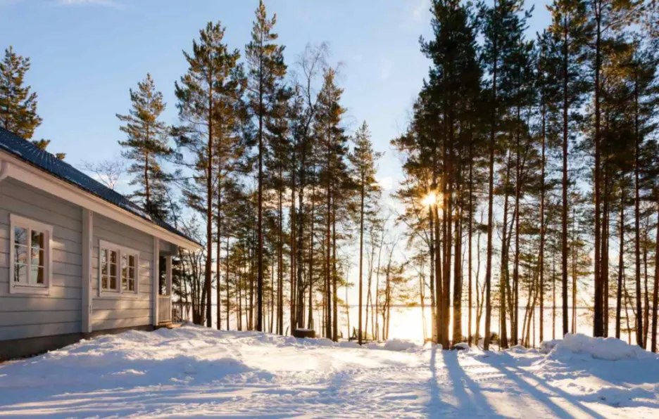 A cozy lake house surrounded by snow and tall trees during winter with sunlight peeking through the forest.