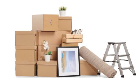 Cardboard moving boxes, rolled rug, framed art, step ladder, and plants for storage.