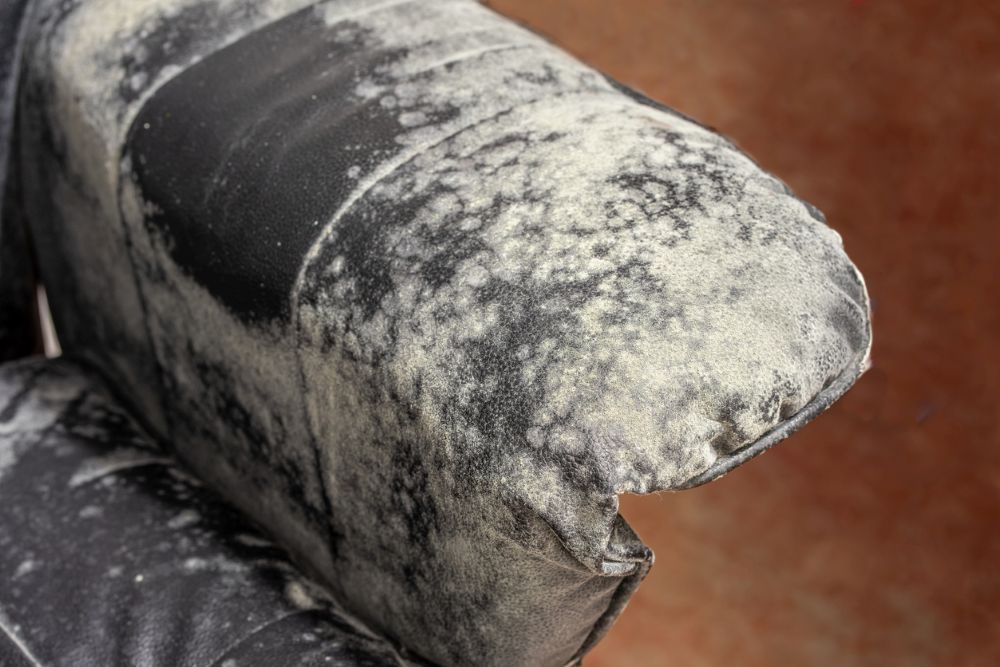 Black leather armrest covered in extensive white mold from high humidity.