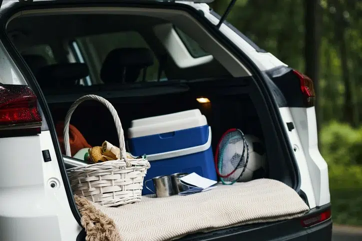 Open SUV trunk packed in a wooded setting.